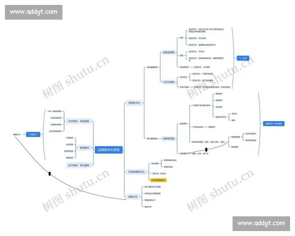 数字化浪潮下足球行业营销创新路径与品牌价值重塑探索策略研究